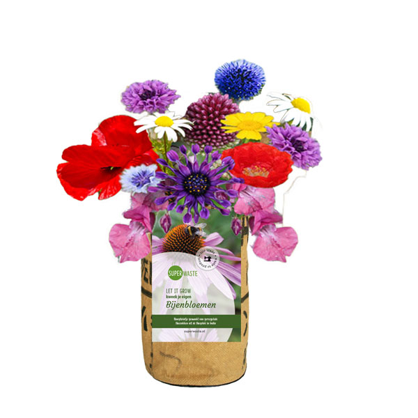 Let it Grow Bienenblumenmix