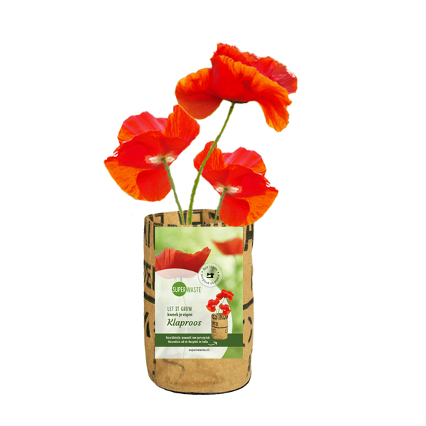 Let it Grow Klatschmohn