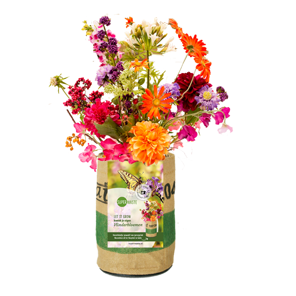 Let it Grow Schmetterlingblumenmix
