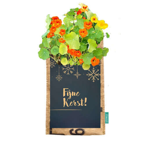 Hangtuintje fijne kerst Oost-Indische kers Superwaste