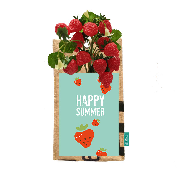 Hangtuin Happy summer aardbeien SuperWaste