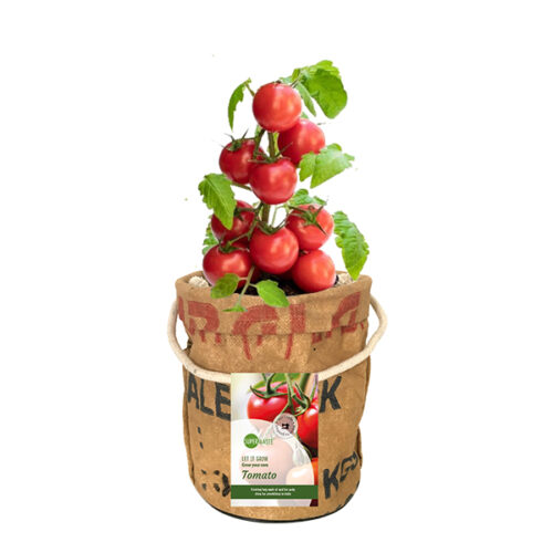Kweektuin tomaten Superwaste