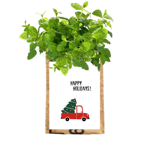 Hangtuintje Happy Holdiays kerst SuperWaste