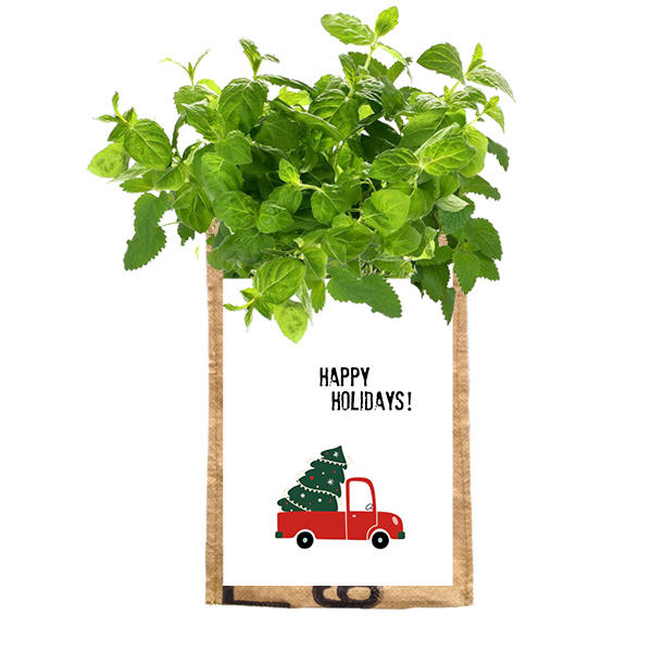 Hangtuintje Happy Holdiays kerst SuperWaste