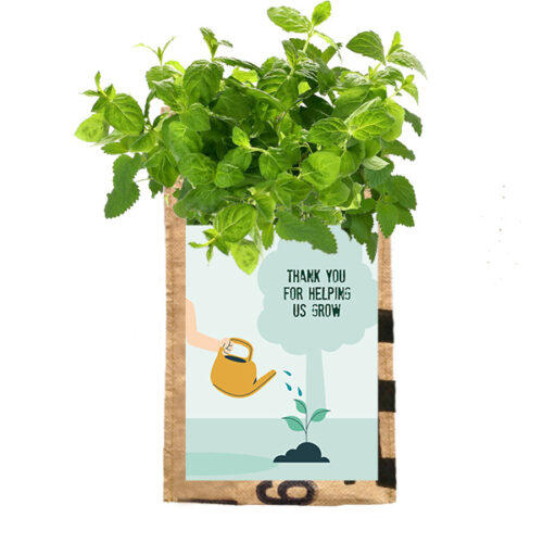 Hangtuin Thank you for helping us grow SuperWaste